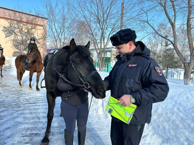 В Волжском районе создана «Первая конная дружина», которая окажет полицейским содействие в охране общественного порядка